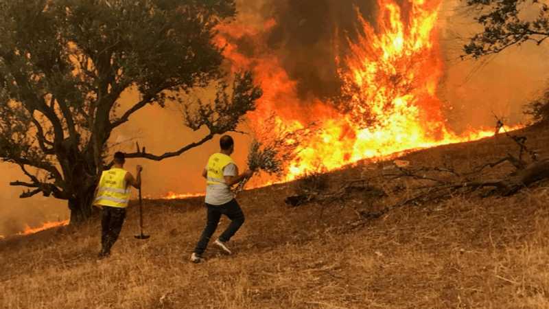 ارتفاع حصيلة ضحايا الحرائق في الجزائر إلى 38 قتيلا