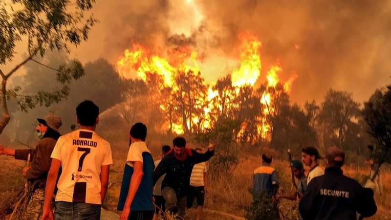 وسط انتقادات... الجزائر تطوق حرائقها بحصيلة 38 قتيلا